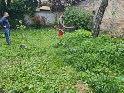 Dva radnika kose travu trimerom u Novom Sadu